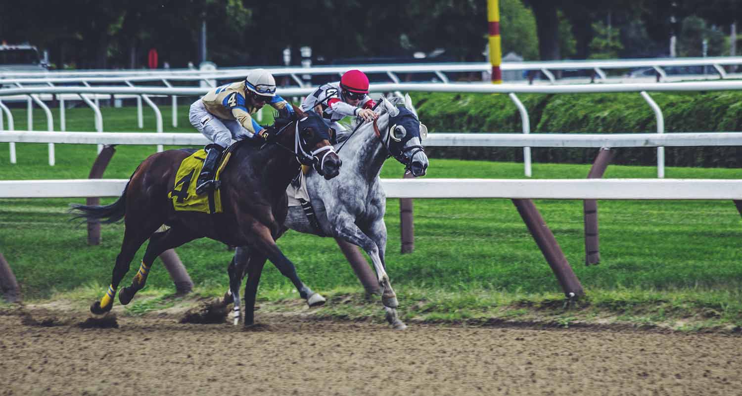sports betting